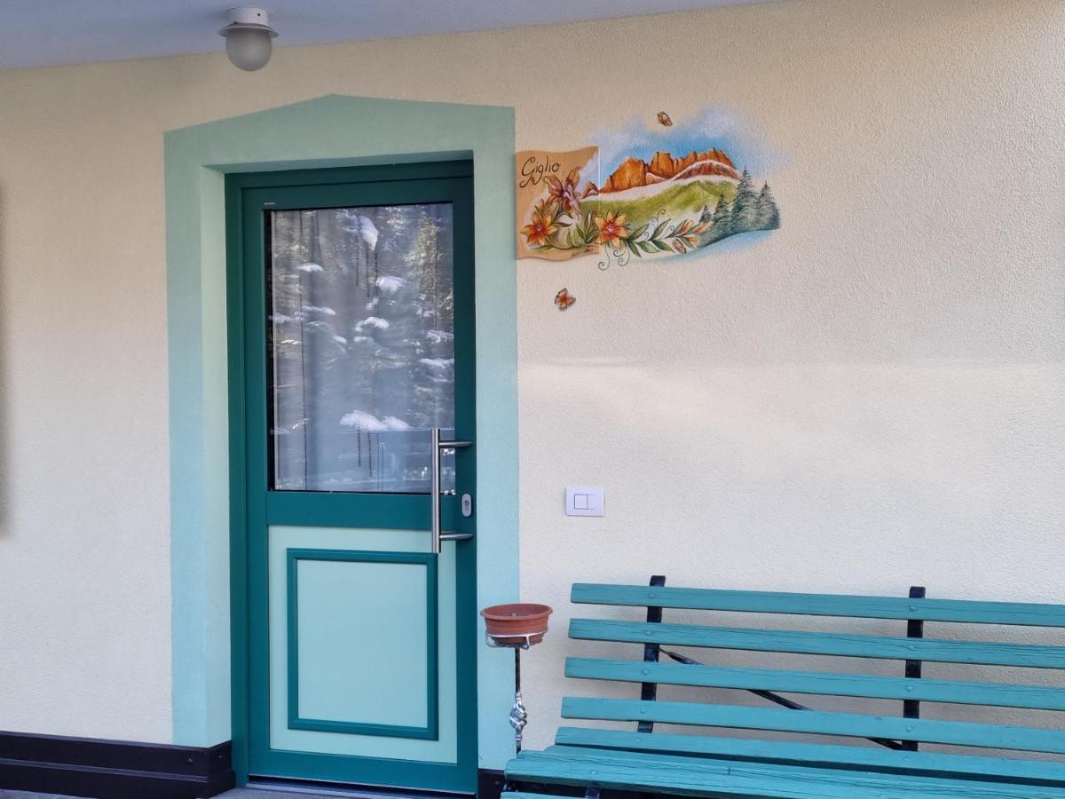 Ciapia Appartement Campitello di Fassa Buitenkant foto