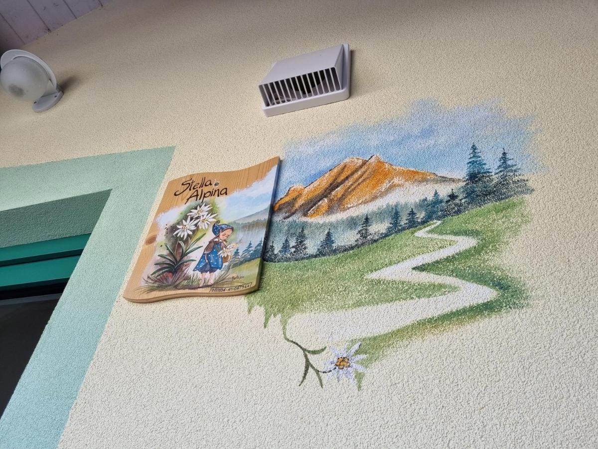 Ciapia Appartement Campitello di Fassa Buitenkant foto